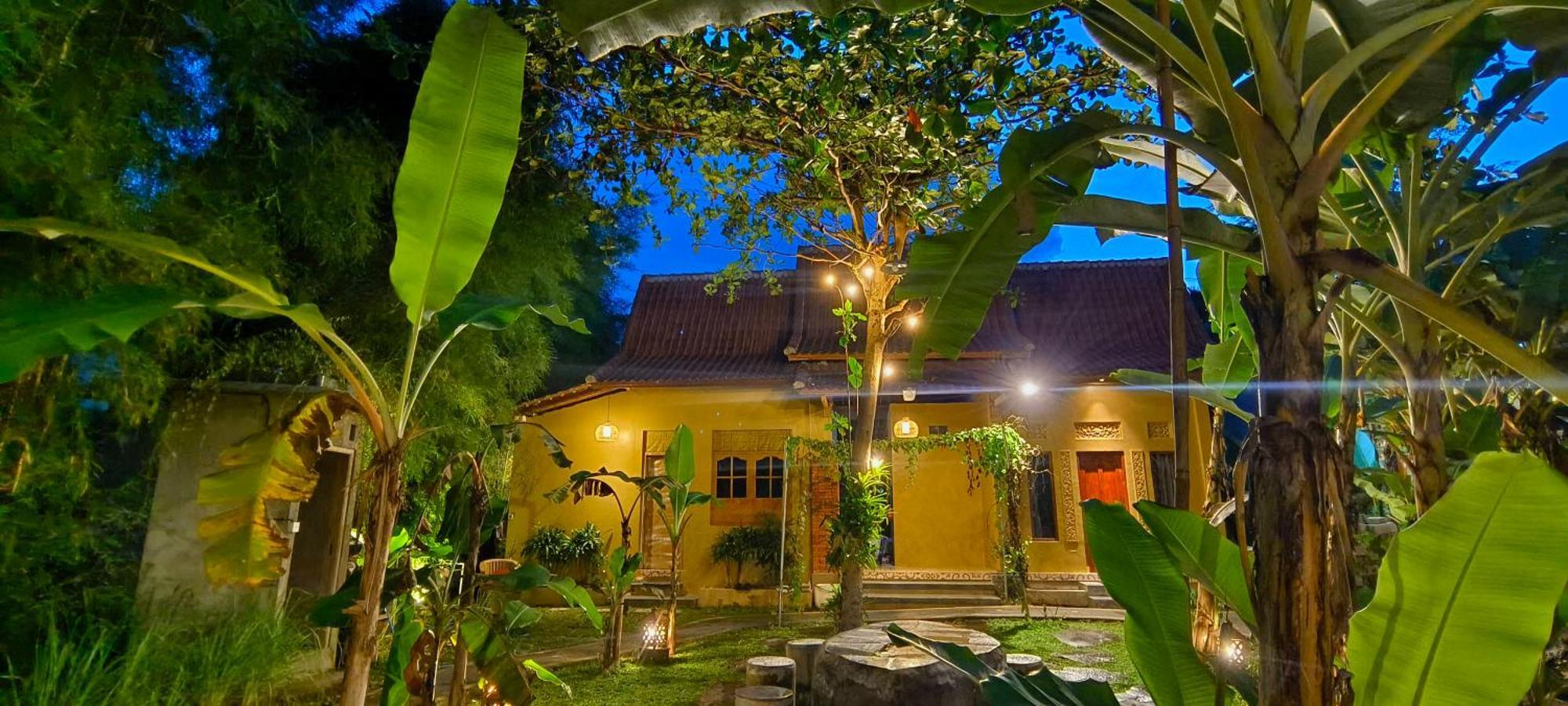 Damuh Guest House Ubud Eksteriør bilde